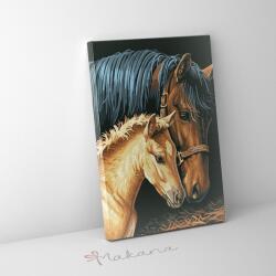 Makana Ló és csikó - Számfestő készlet, kerettel (30x40 cm)