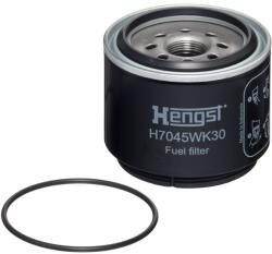 Hengst Filter filtru combustibil HENGST FILTER H7045WK30 (H7045WK30) - automobilus