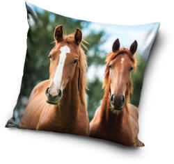  Lovas Harmony párnahuzat 40x40 cm (CBX231199PNL) - szukits