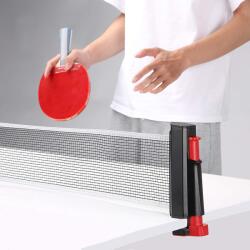  Speciális asztalitenisz háló (DS16744358)