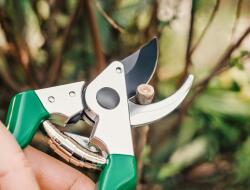  Gyakorlati kerti olló | Naturzon (DS82807224)