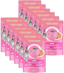 ONE Junior Mini Filé salmon & carrot in sauce 12x85 g