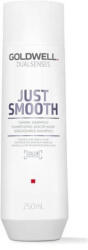 Goldwell Dualsenses Just Smooth Taming șampon de hidratare și netezire pentru păr vopsit 1 l