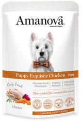  AmaNova Dog GF Pouch Puppy Exquisite Chicken P08 100 g