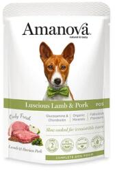  AmaNova Dog GF Pouch Adult Lamb & Iberian Pork P05 100 g
