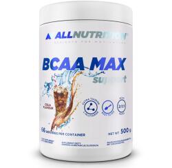 ALLNUTRITION Bcaa Max Support 500 g