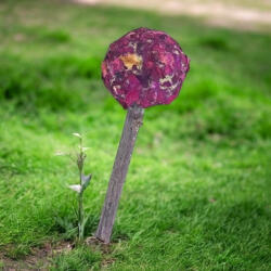  NYUSZISHOP. HU - Széna nyalóka - RÓZSÁS 10 cm