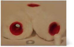  Csőfestő póthenger