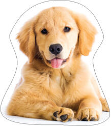 Carbotex Kutyás Golden Retriver formapárna, díszpárna 35x35 cm (CBX221005KSZ)