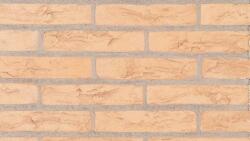SanMarco Caramida plina Terrae Rosatto Chiaro 25x12x5.5 cm (SM-1883030201-T)