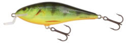 Salmo Executor 5 0, 6-1, 2m 5g 5cm lebegő RHP 1db (84595603)
