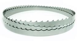  Panze pentru gater Wood Silver 40-1.00-4440 (PANZE PENTRU GATER WOOD SILVER 40-1.00-4440) Disc de taiere