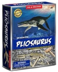 Sonne Trusă de cercetare Sonne - Dezgropați un schelet de Ichthyosaurus (SONNE1261)