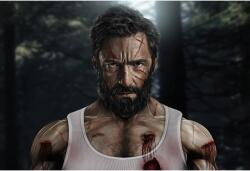  Logan poszter, 61x90 cm, poszter1931, Többszínű (poster1931)