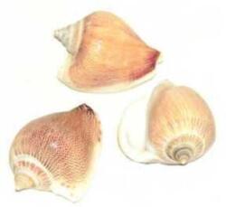 Szer-Ber Csigaház - okosgazdi - 589 Ft