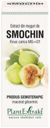 PlantExtrakt Extract din muguri de Smochin 50 ml