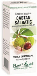PlantExtrakt Extract din muguri de Castan salbatic 50 ml