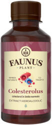 Faunus Plant Tinctura Colesterolus 200 ml