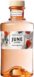Gin de France June by G’Vine Wild Peach & Sommer Fruits ginlikőr 0, 7l 30%