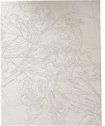 Pátria Papír Kreatív kifestő klt. Centrum számozott, 40x50 cm, Színes madár