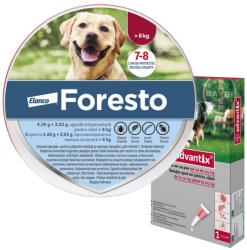 Bayer Pachet zgarda Foresto L (70 cm) + Advantix 250 (10-25 kg)
