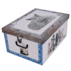 PD Tárolódoboz 51x37x24cm Miss Space MAXI Cica kék (7037)
