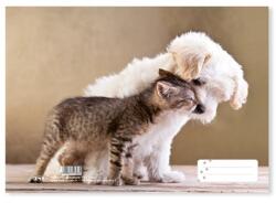 PD Füzetborító A/5 PD puszi