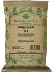 Herbária galagonyatermés 40 g (6470000485)