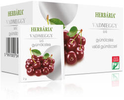Herbária filteres gyümölcstea 20x2 g (Vadmeggy) (10000054)
