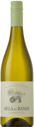BÉLA és BANDI Sauvignon Blanc 2024 0, 75l 13%