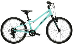 Kross Liftie U 20 Bicicleta