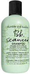 Bumble and bumble Seaweed sampon pentru par cret cu extract de alge marine 250 ml