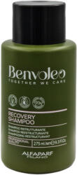 ALFAPARF Milano Benvoleo Recovery Shampoo 275 ml