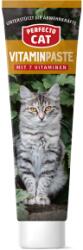 Perfecto CAT vitaminpaszta 100g