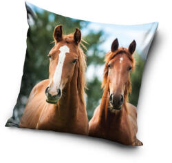 Lovas Harmony párnahuzat 40x40 cm - lord