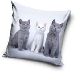 Cicás Trio párnahuzat 40x40 cm Velúr - lord