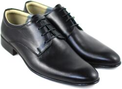 CIUCALETI Pantofi barbati eleganti din piele naturala LENZOCLASS, marimea 42