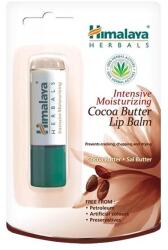 Himalaya Ajakbalzsam HIMALAYA kakóvajas hidratáló 4, 5 g (2020C) - iconink