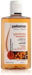Pell Amar Beauty Hair sampon regenerant cu extract de catina 250 ml