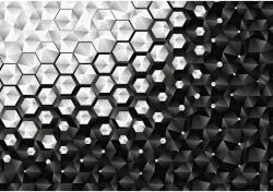 DEGRETS Fotótapéta DEGRETS 83428 Fekete és fehér 3D, 184x254cm (83428)