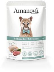  AmaNova Cat GF Pouch P14 Brilliant Beef & Chicken 85g