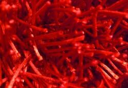 Bakero Shaggy Marmala 109 red Szőnyeg (140x200 cm)