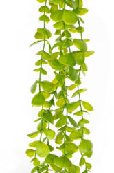 4-Home Műbokor, apró levelű eukaliptusz, sötétzöld, 120cm