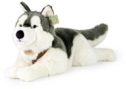 Rappa Plüss husky hámmal 60 cm ECO - FRIENDLY