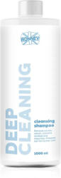 RONNEY Sampon Deep Cleaning 1000ml MÉLYTISZTÍTÓ - fodrasznagyker