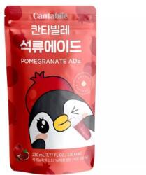 Cantabile Gránátalma Ízű Koreai Üdítőital, 230ml (Cantabile) (8809253649804)