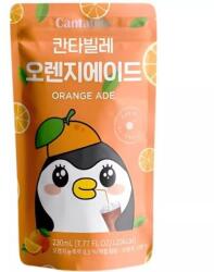 Cantabile Narancs Ízű Koreai Üdítőital, 230ml (Cantabile) (8809253649279)