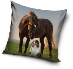  Lovas Sunset Companions párnahuzat 40x40 cm (CBX231190PNL) - oliviashop