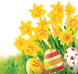  Húsvét Bunch of Daffodils szalvéta 20 db-os 33x33 cm (PKK056459)