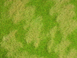  Noch Natur+ Természetes rét (07472)